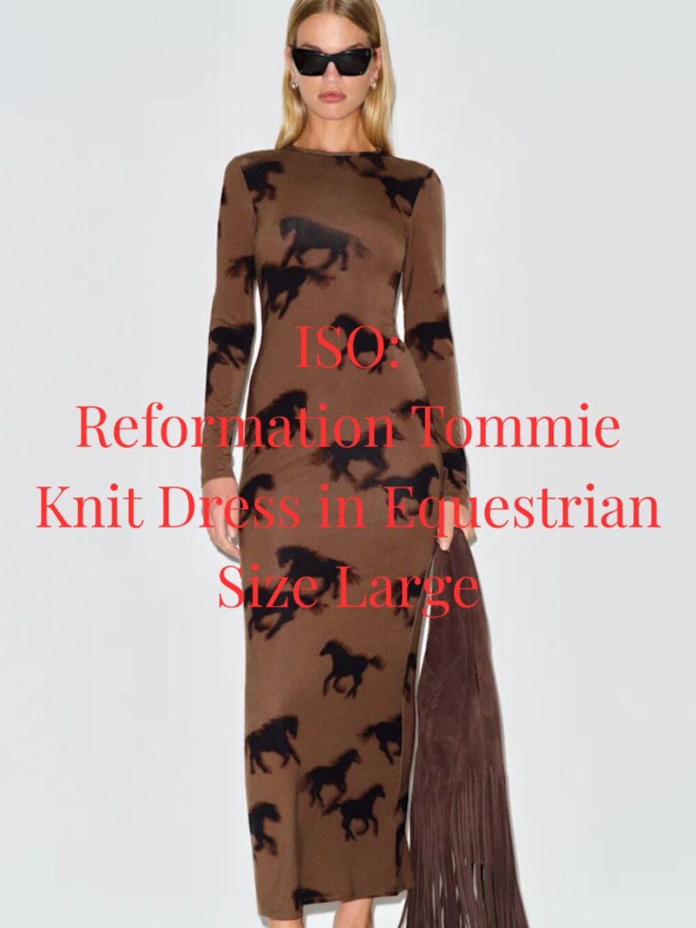 ISO REFORMATION TOMMIE DRESS EQUESTRIAN SIZE LARGE